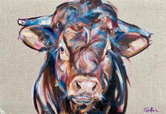 Big Red, Limousin X Bull, Original Oil Painting on Linen Board
