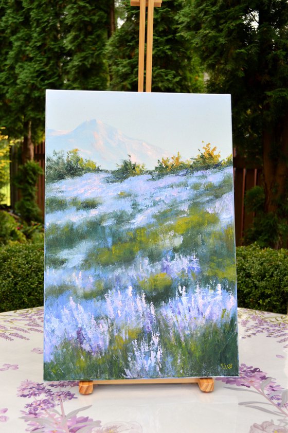 Wild lavender in the haze of the morning sun