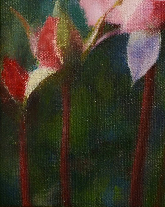 Rose and the Stream of Time