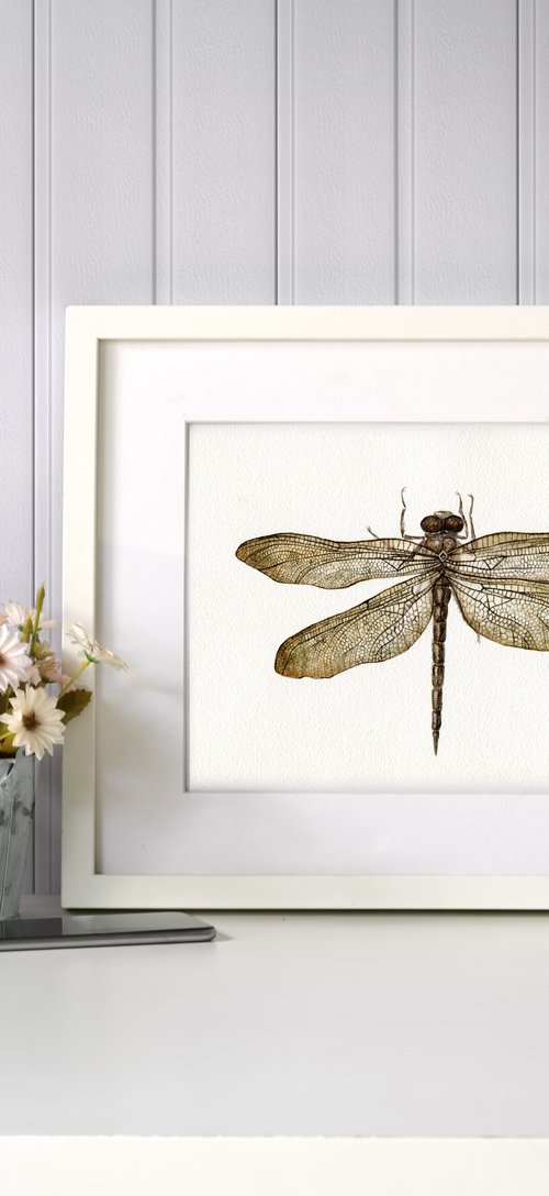 Watercolor dragonfly by Liliya Rodnikova
