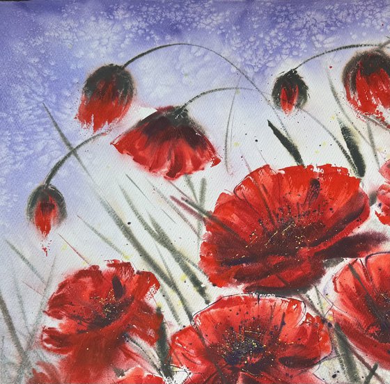 Biggest Red Wild Poppies