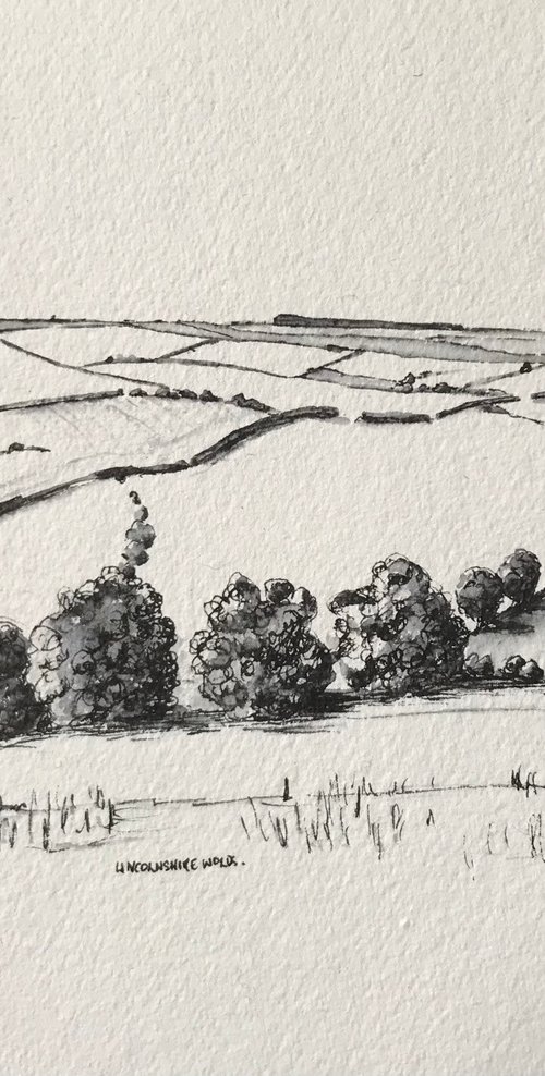 Winter Trees in Pen and Ink - Lincolnshire Landscape by Catherine Winget