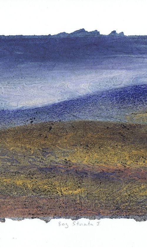 Bog Strata 1 by Aidan Flanagan Irish Landscapes