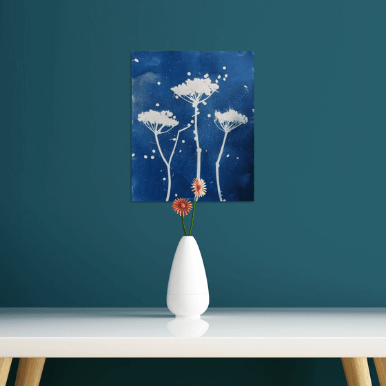Umbellifer Cyanotype