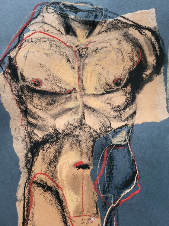 Male torso