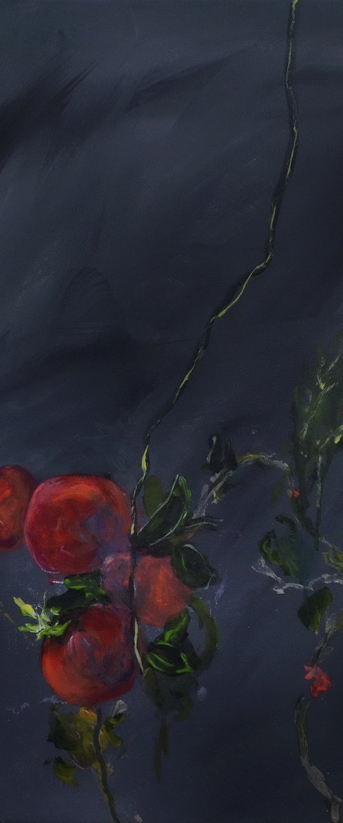 Rose Hip by Karin Goeppert