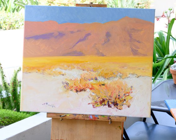 White, Sandy Desert