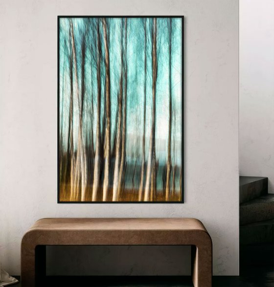 Birches (studio 5)