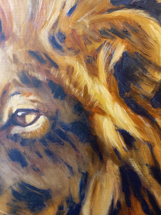 Totem Lion 60x50 cm Animal oil portrait