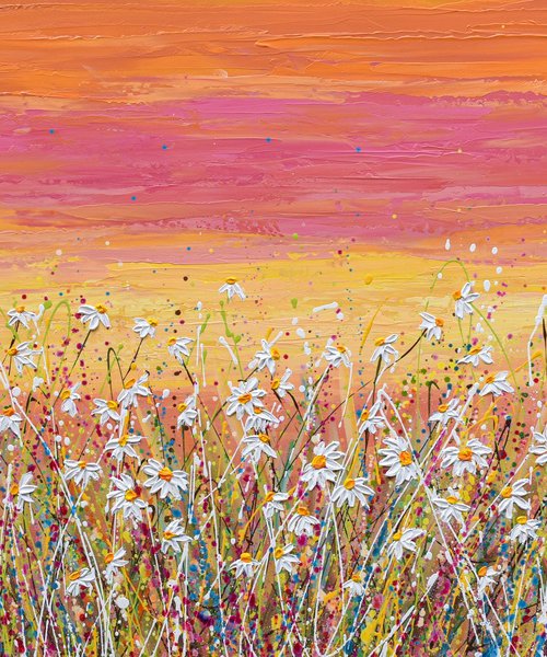 Daisy Field at Sunset by Olga Tkachyk