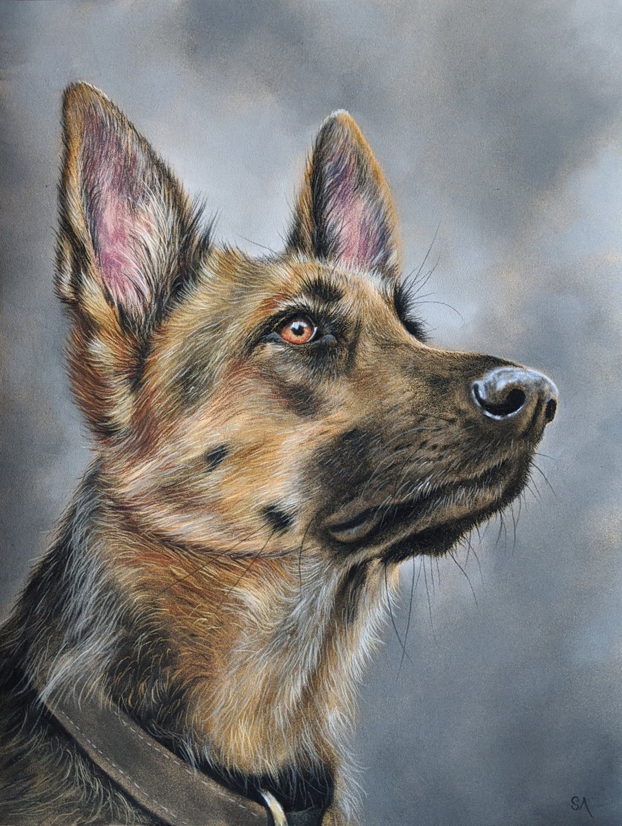 A Dogs Life II (Original Painting) by Sean Afford