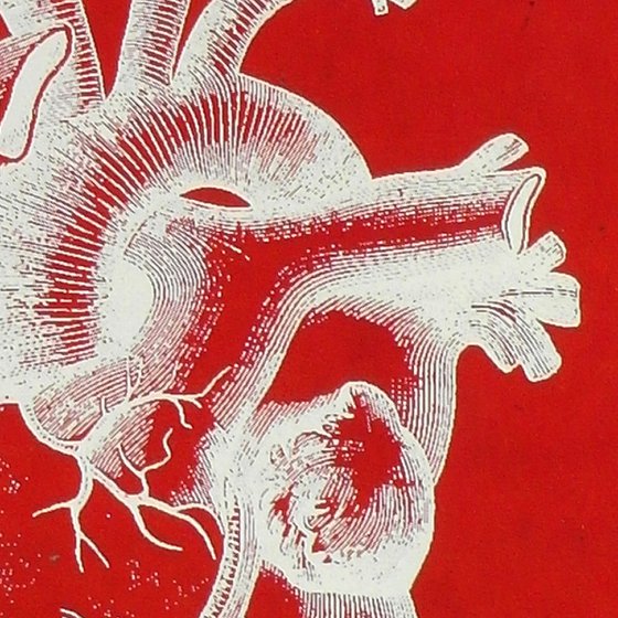 Order Chaos on Handmade Red Lacquered Paper, Medical Antique Heart and Brain Screen Print