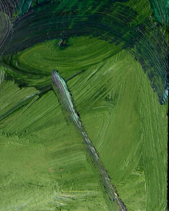 Waterlilies, Blea Tarn