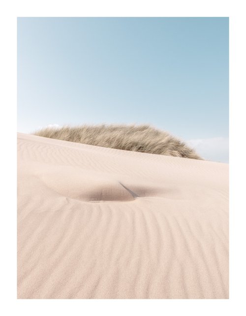 Dune Ripples III by David Baker