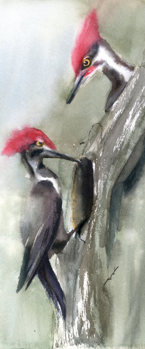 Woodpeckers on the tree by Olga Tchefranov (Shefranov)