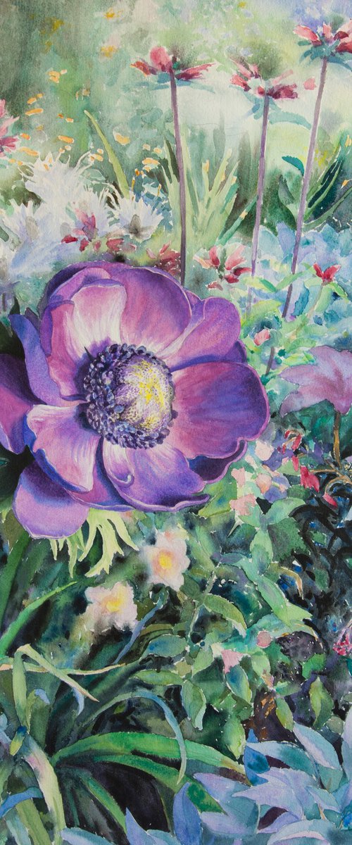 Anemone by Kathy Carney