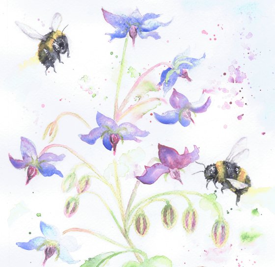 Bees and Borage