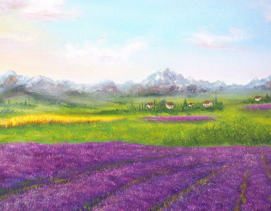 Lavender Provence