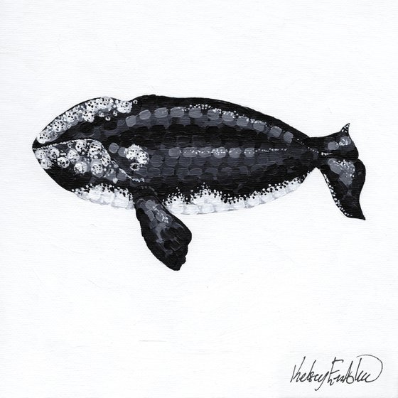 Right Whale