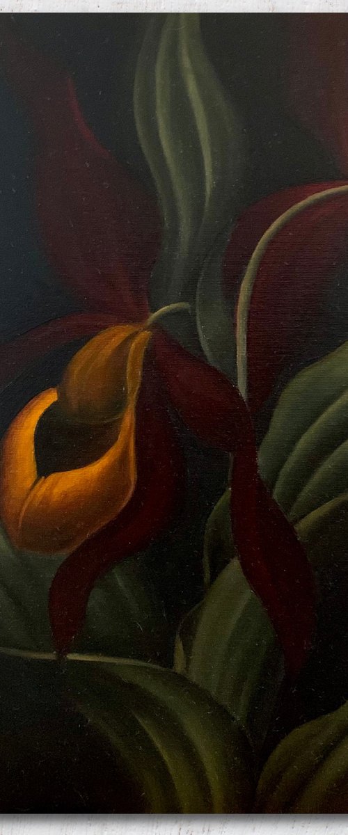 Red Orchids by Dom Holmes