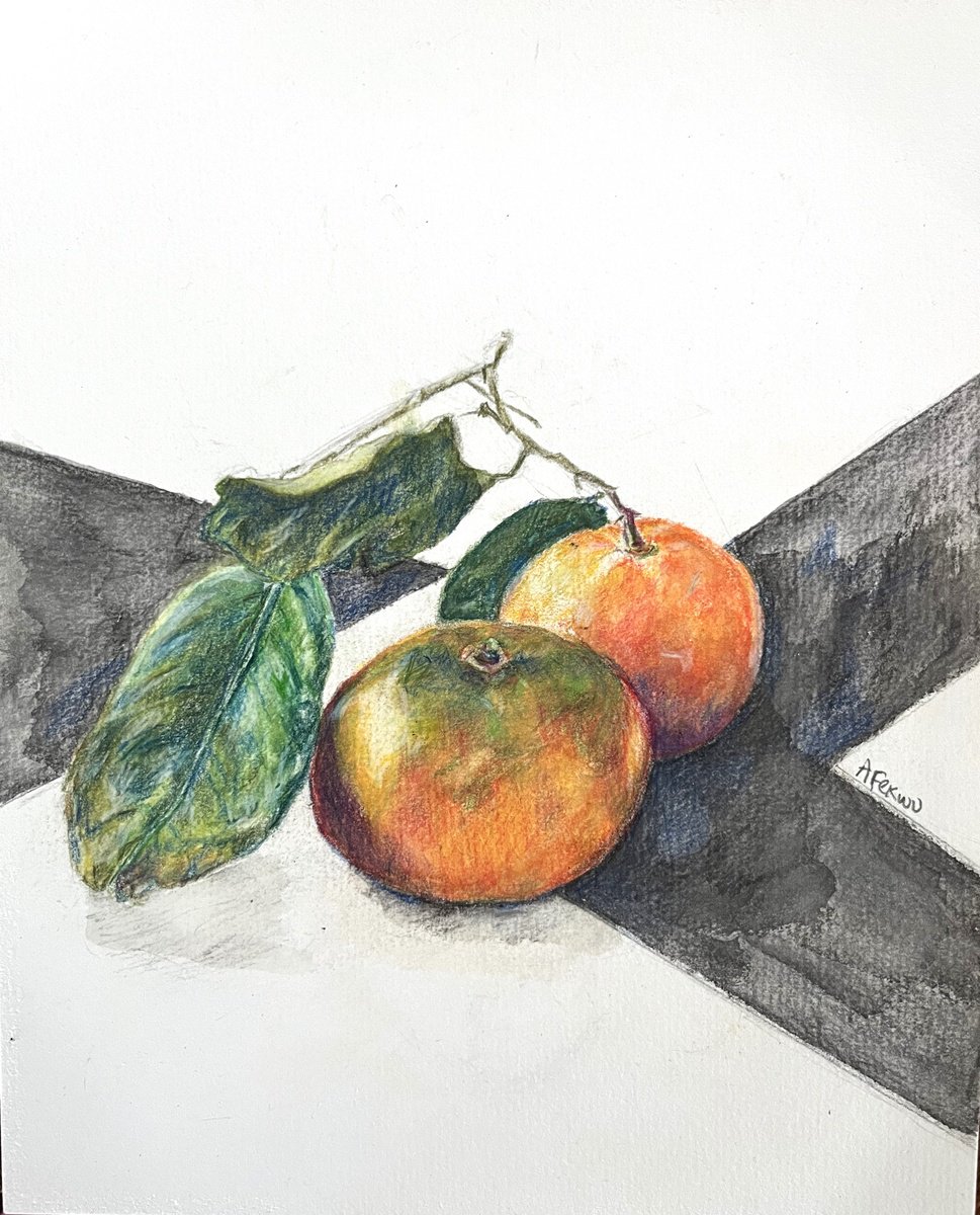 Impressionistic Still Life Pencil Drawing By Afekwo, 8 X 10, Clementines Still Life, Original Artwork