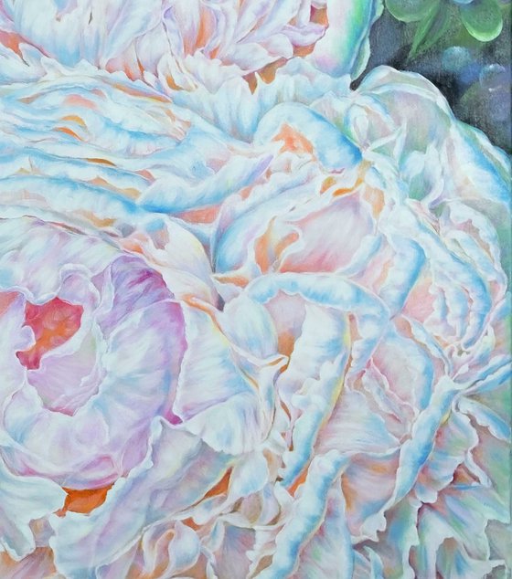 Whisper of Peonies