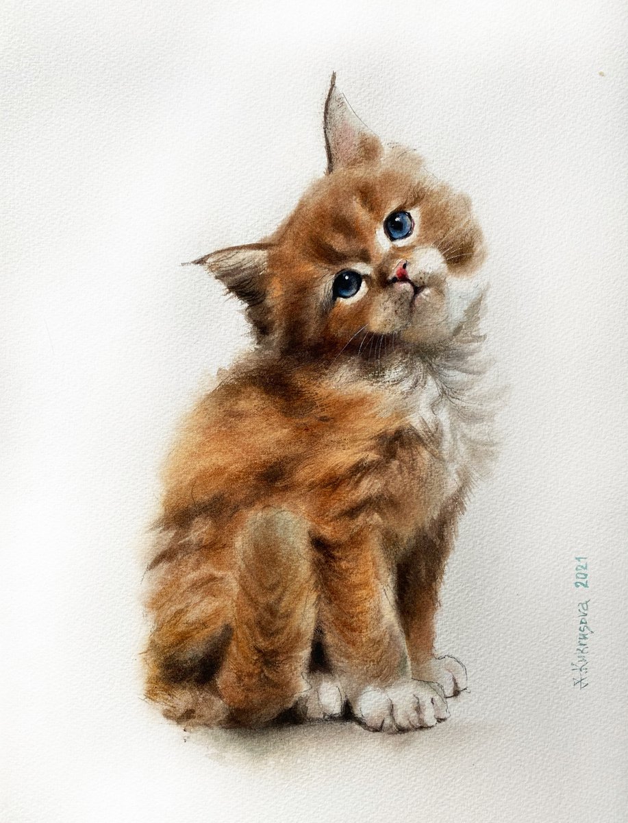 Red kitten by Irina Kukrusova