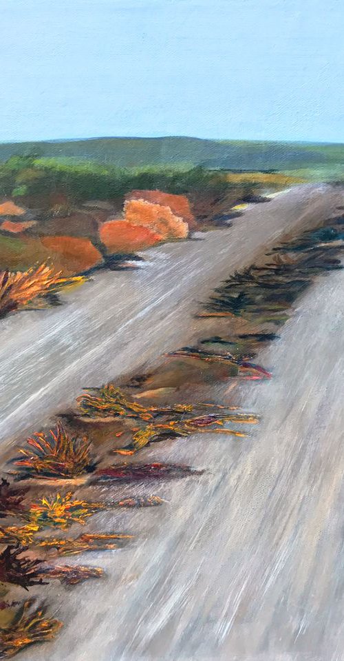 Desert Tracks by MaryAnne McKernie