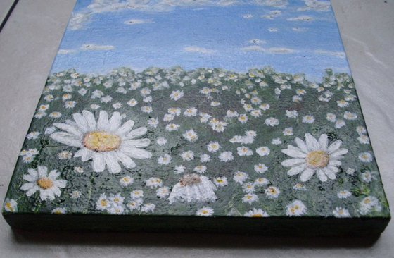 Field of Daisies