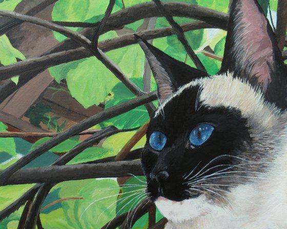 "Bird Watcher"