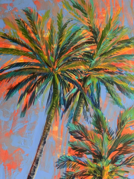 Palms tree
