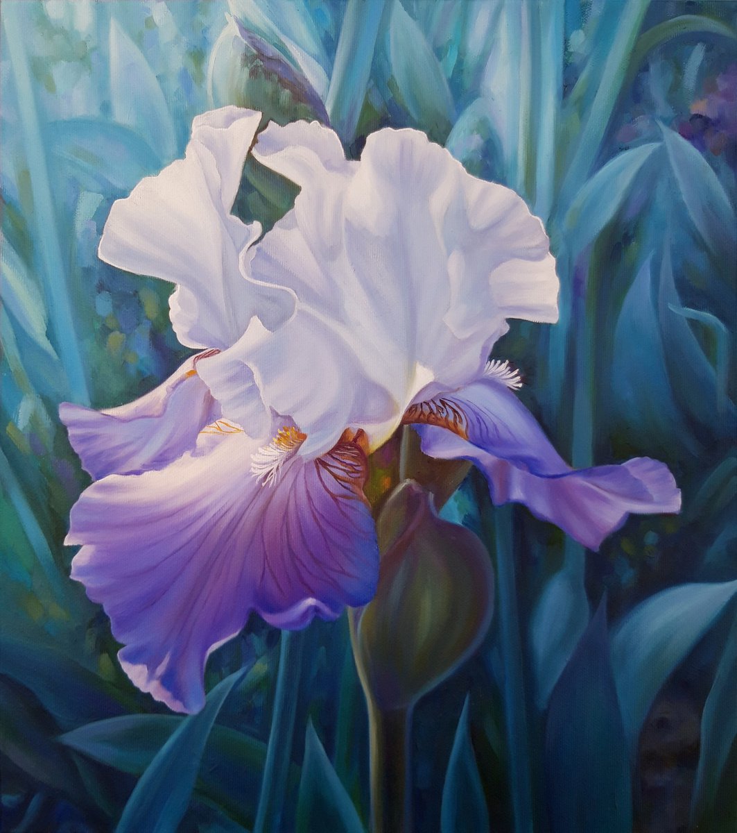 Spring iris, oil floral painting, flower artwork by Anna Steshenko