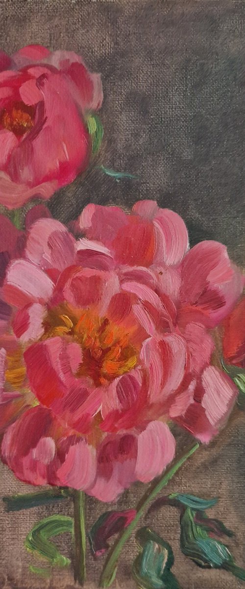 Still-life with peonies "Harmony of pink" by Olena Kolotova