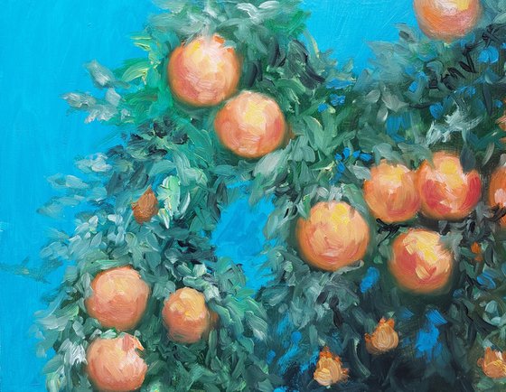 Orange tree in the sun