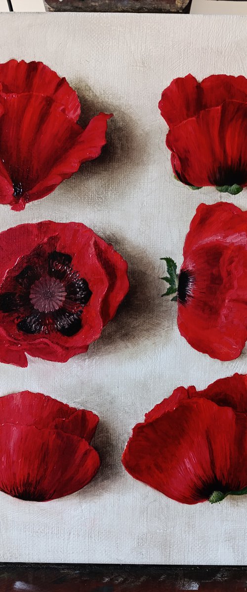 Wild poppies 01 by Davit Davtyan