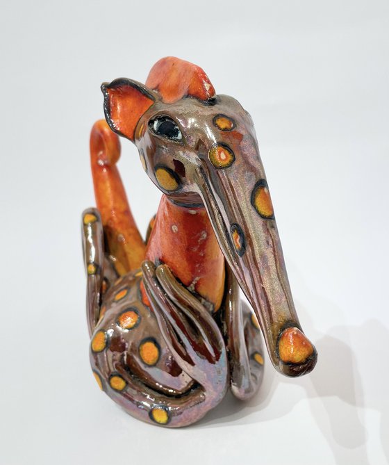 Orange Dotted Dragon