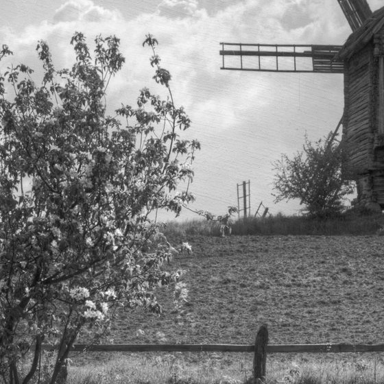 The month of May.