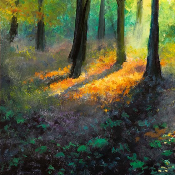'Magic forest'