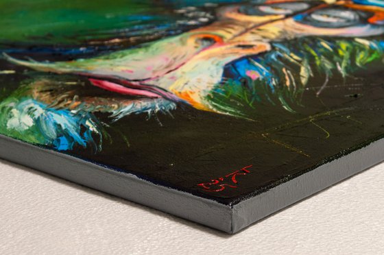 I’m Just a Dreamer