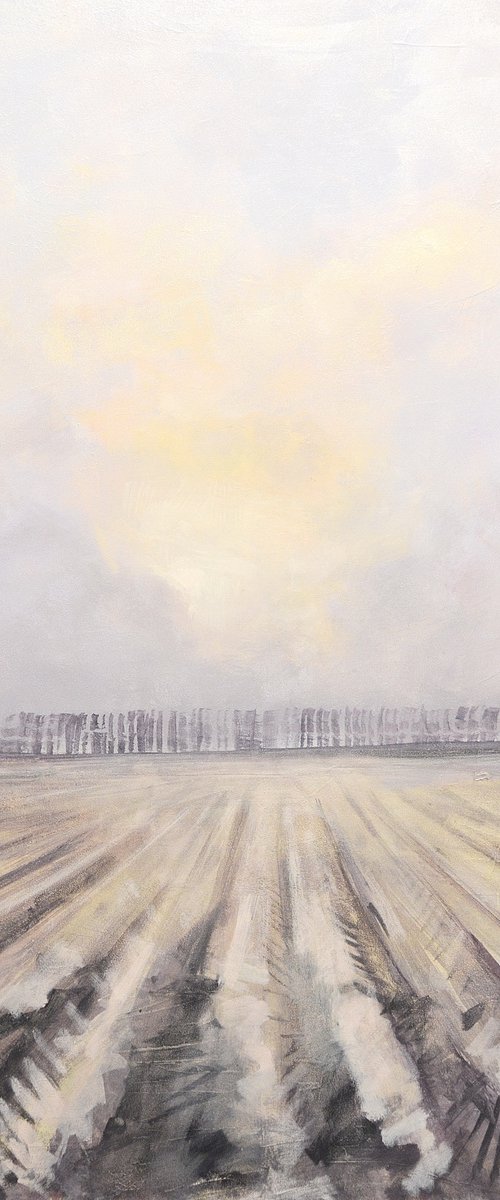 Winter sun, ploughed field, Norfolk. by Tom Cringle