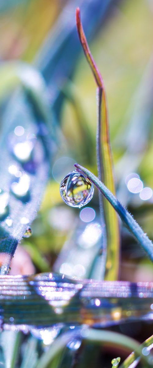 RAINBOW MORNING - matted by Inna Etuvgi