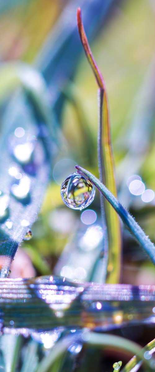 RAINBOW MORNING - matted by Inna Etuvgi