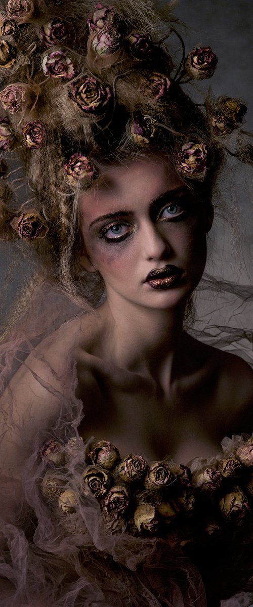 Dame of Roses by Agnieszka Jopkiewicz