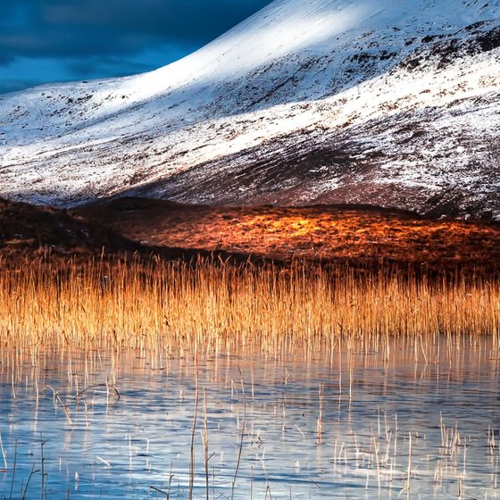 Winter Comes to the Highlands