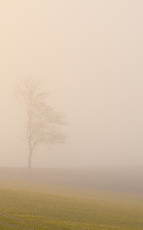 foggy landscape 8 by Jochim Lichtenberger