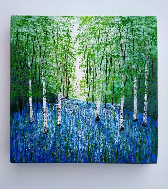 Blue Spring Forest Glade