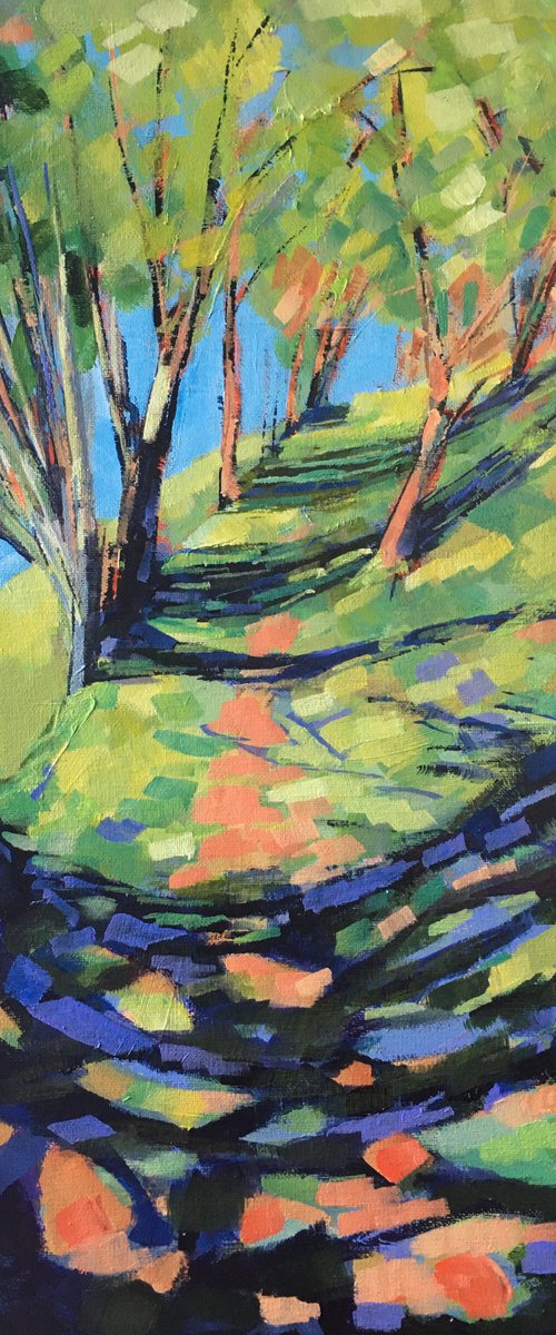 Back Path to Knucklas castle by Stuart Roper