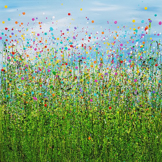 Rainbow Rhapsody Meadow