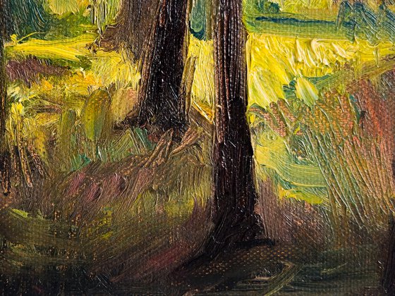 The Structure of Sunlight