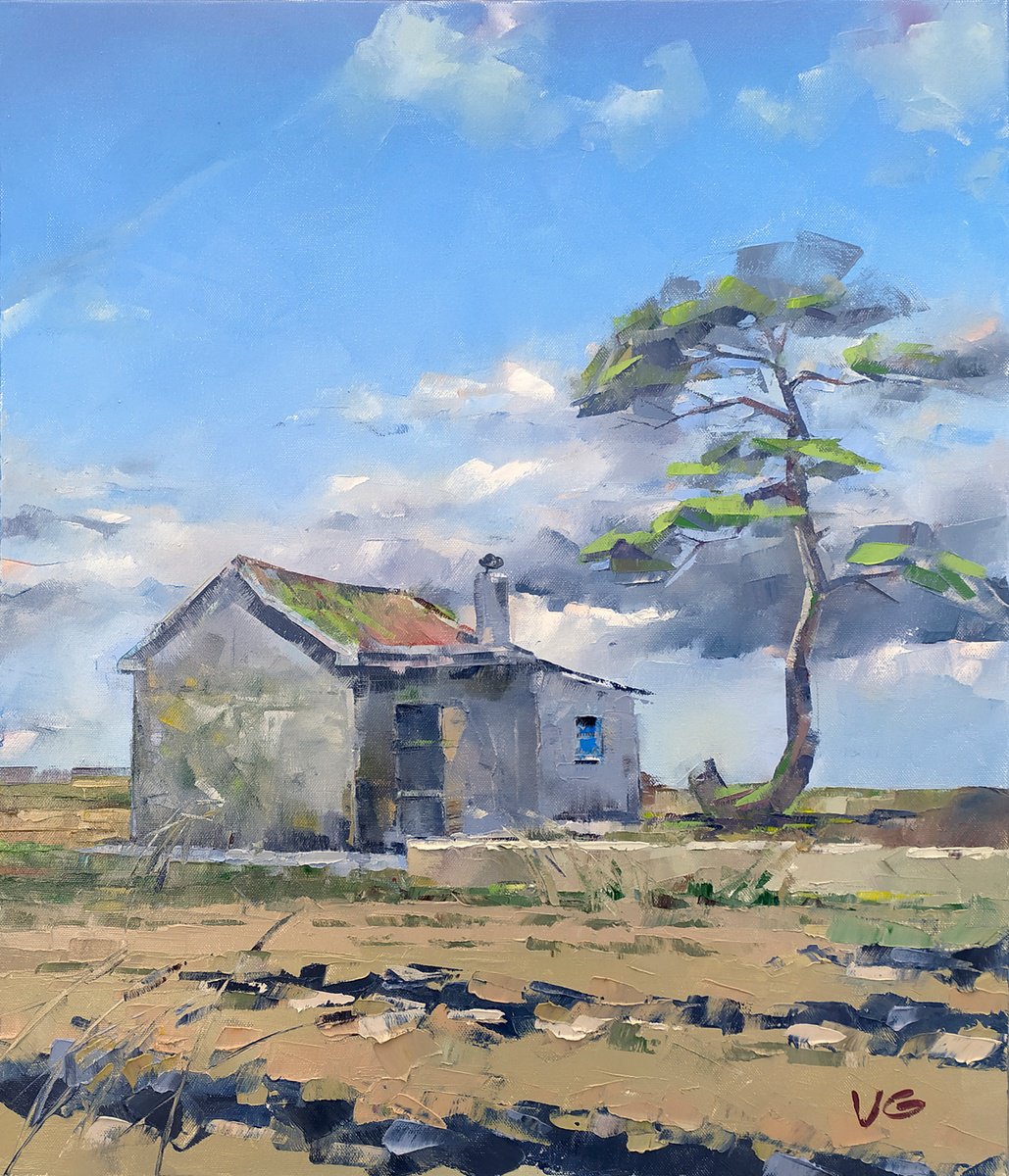 Landscape HOUSE WITH HISTORY original oil painting old house in field and a lonely pine by Volodymyr Glukhomanyuk